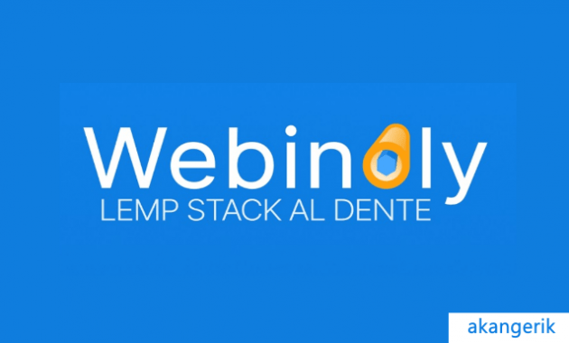 review webinoly indonesia
